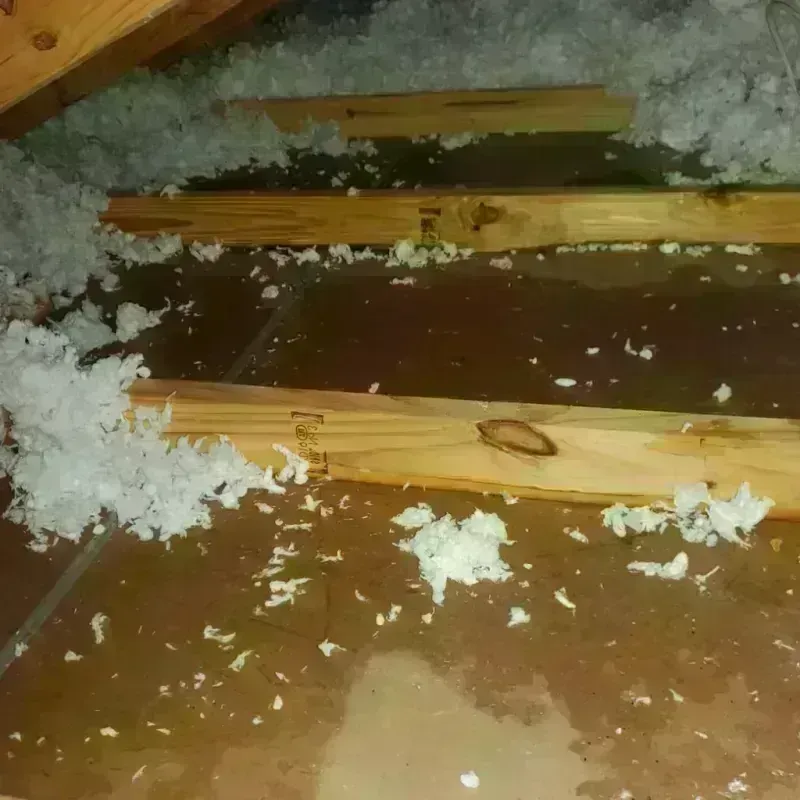 Attic Water Damage in Granbury, TX