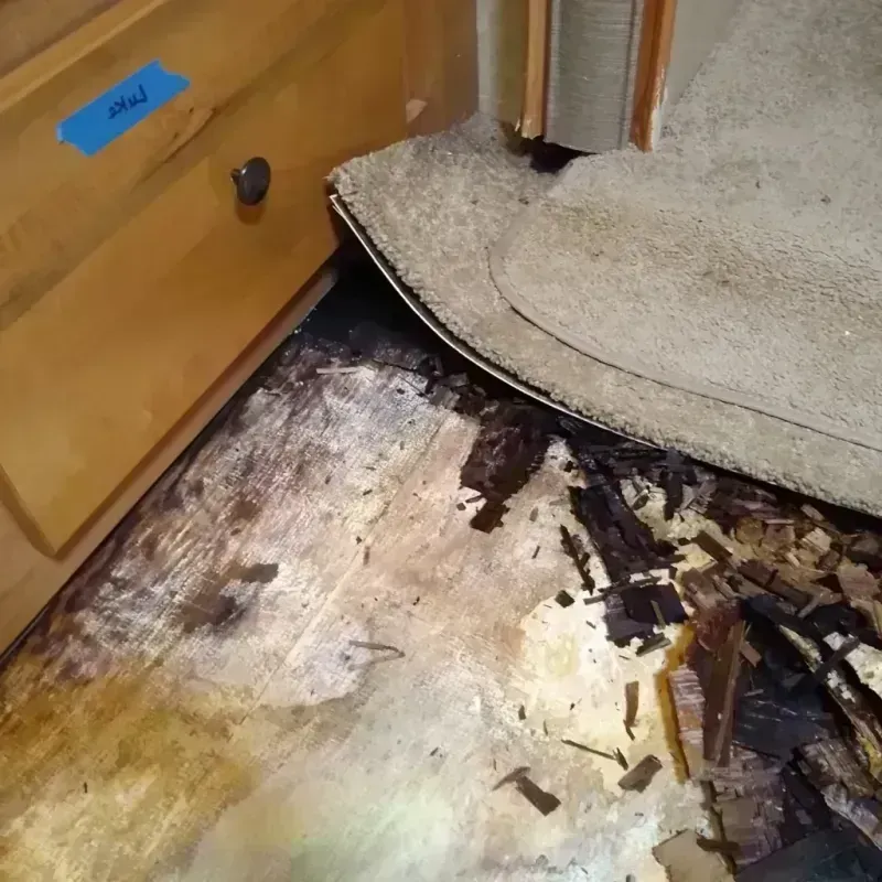 Best Wood Floor Water Damage Service in Granbury, TX